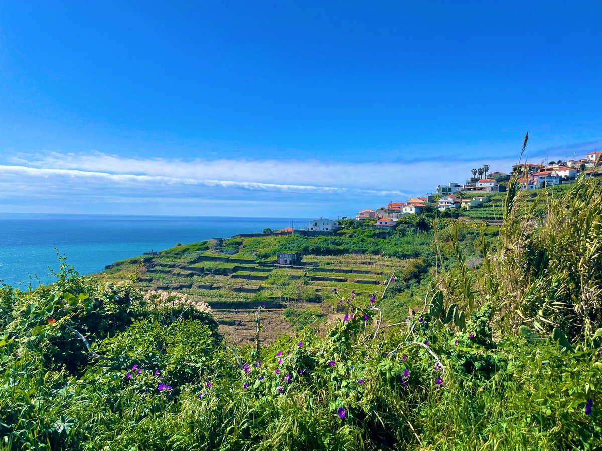 Kevinosjcp1's tweet image. ISLAND LIFE 😎🏃‍♂️☀️🌊🌴✨💫💙🙏🏻#OceanViews #IslandWalks #BlueDays🩵