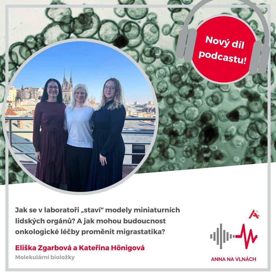 International Clinical Research Center tweet media