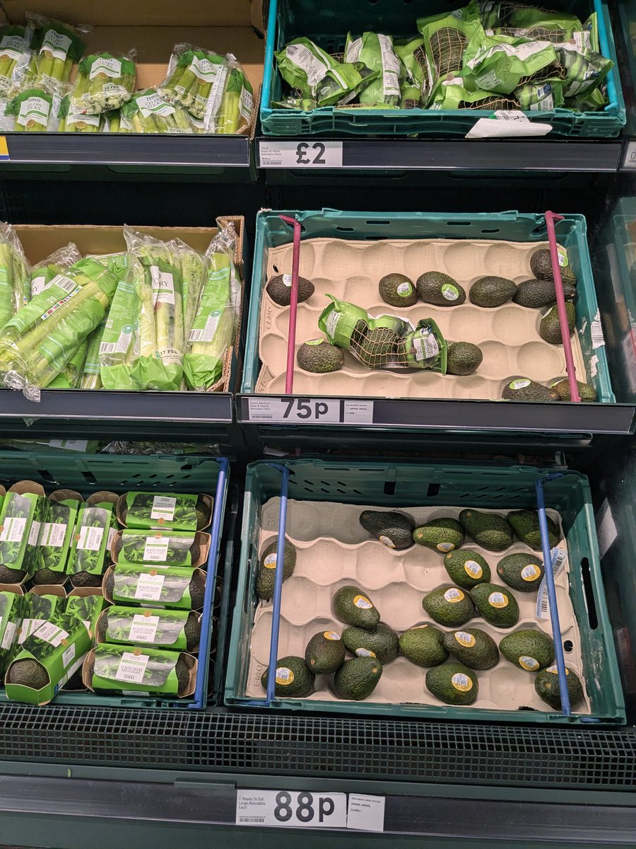 Prof Mike 🍉🇵🇸✊🏽 🔻Annibyniaeth tweet media