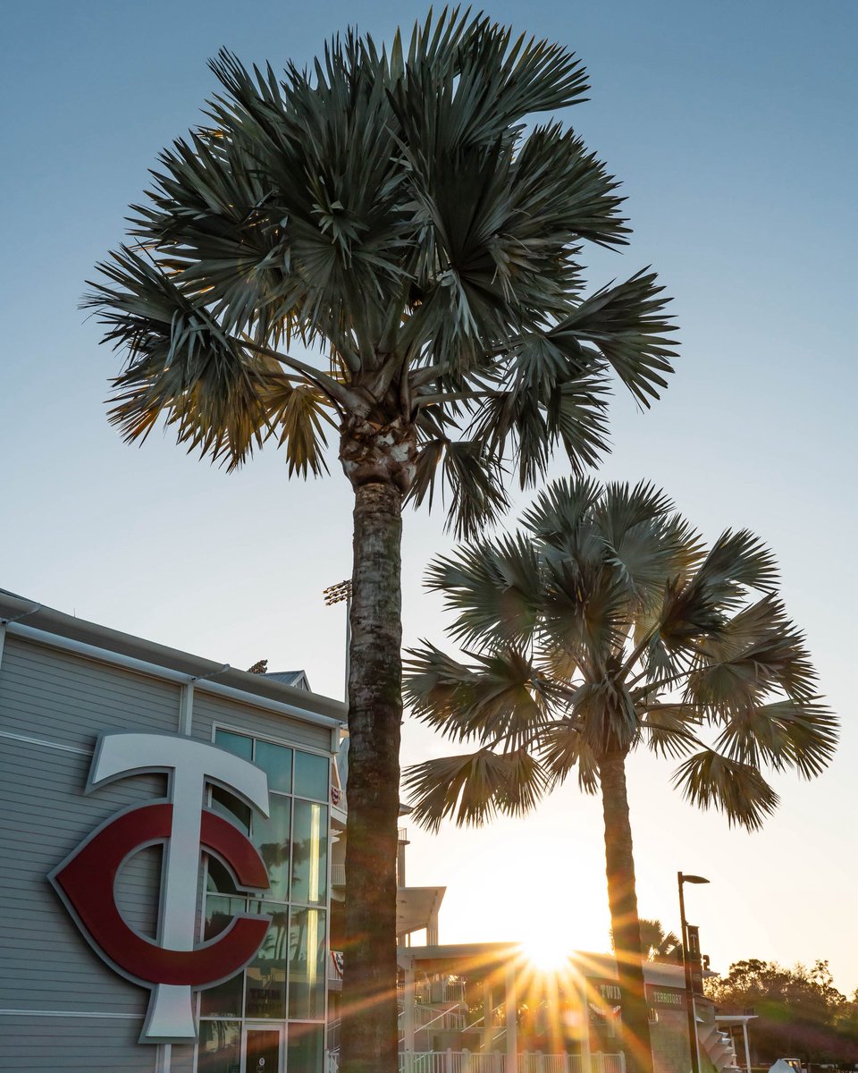 Minnesota Twins tweet media