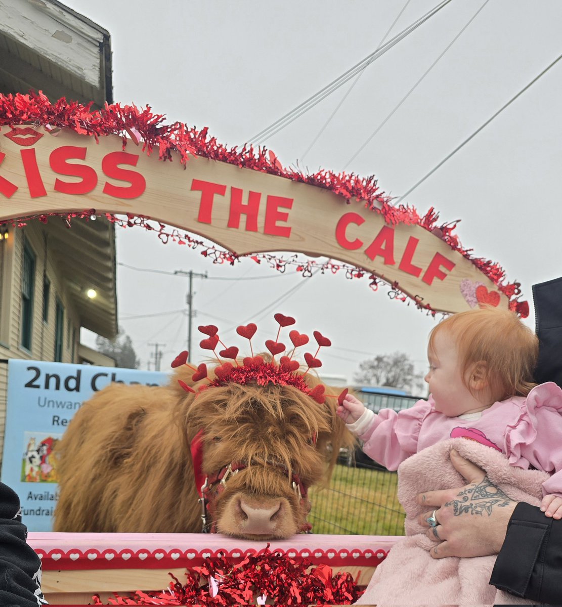 🦇GothyGoth🦇 tweet media