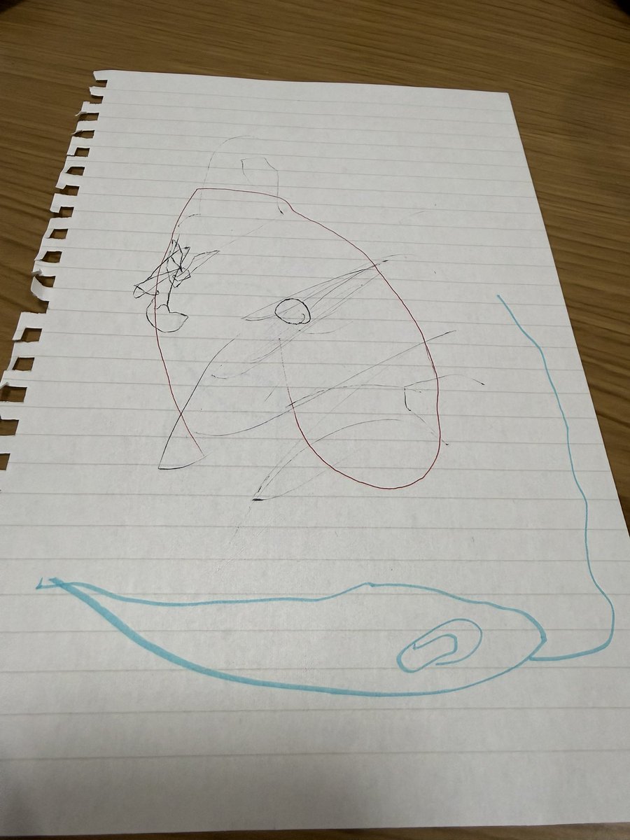 💛💚さくら（もち）❤️❤️ (@sakura_03aWA) / Posts / X