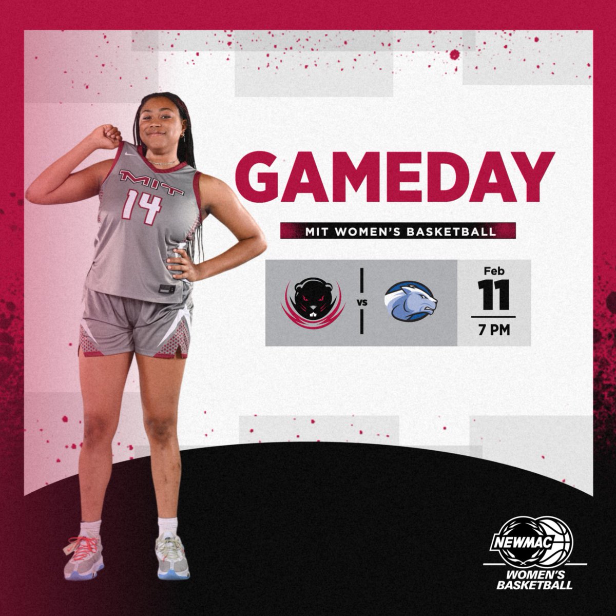 MIT Women's Basketball tweet media