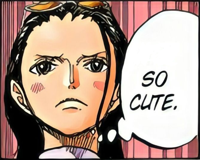 Nico Robin Comfort (@robincomfort) on Twitter photo 