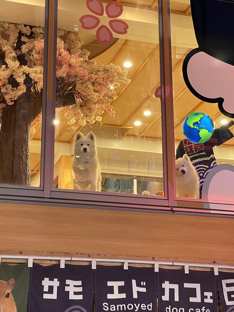 ナオ・オブ・ナオ (@NAO_MAME96) / Posts / X