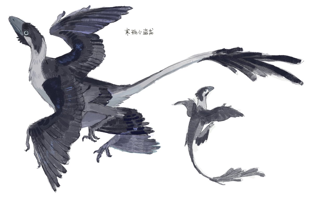 xinxinbird's tweet photo. 上课在试图理解课外内容 https://t.co/sHSFbK5tV7