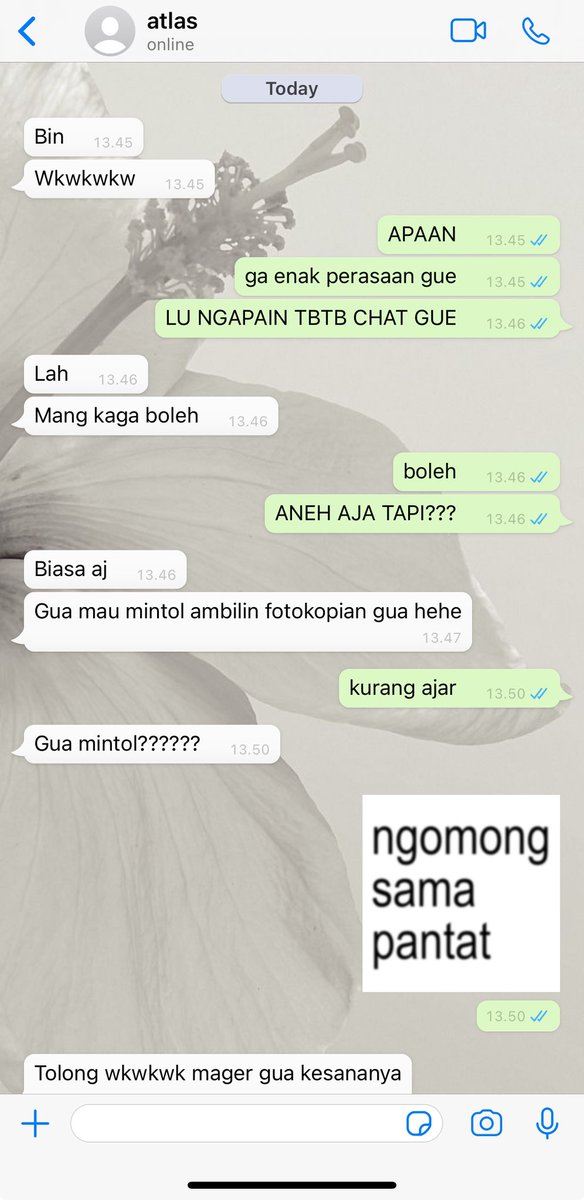 𝓔dith, tweet media