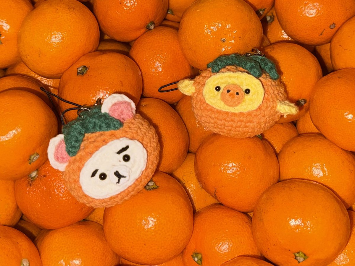 ₍ᵔ- ̫-ᵔ₎ tweet media