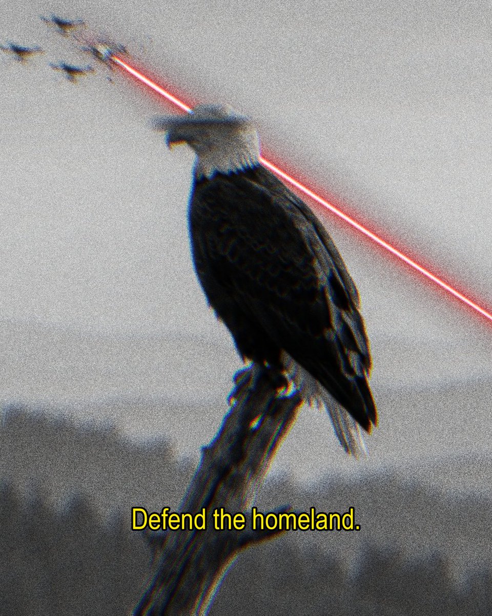 DEFEND THE HOMELAND 🇺🇸