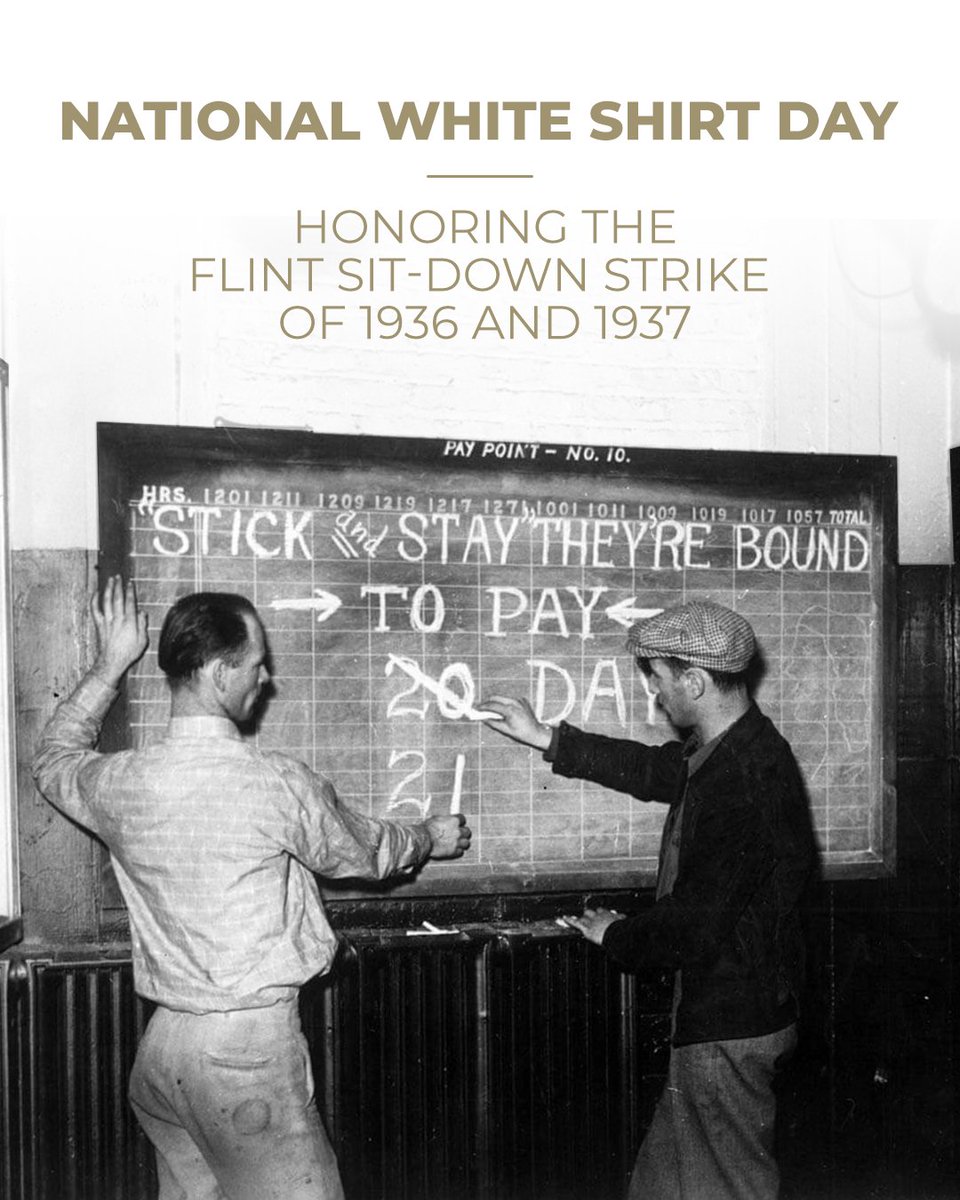 Sharon MacDonell tweet media