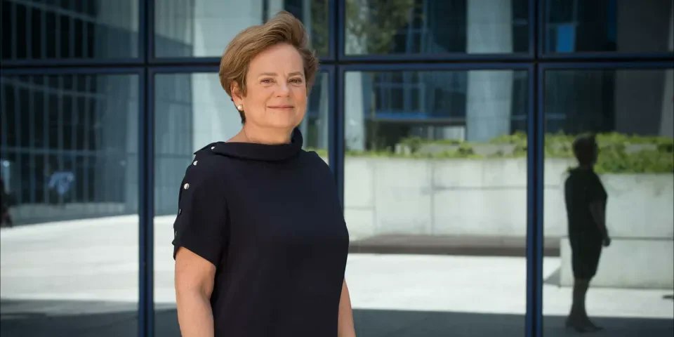 NOVA PORTUGAL tweet media