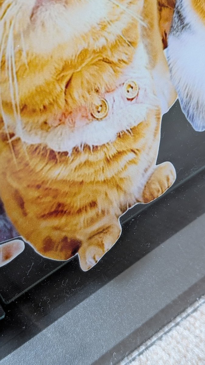 ひなちゃんの足みたい😁