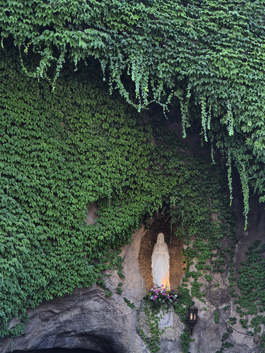 Nuestra Señora de Lourdes

Ruega por Nosotros