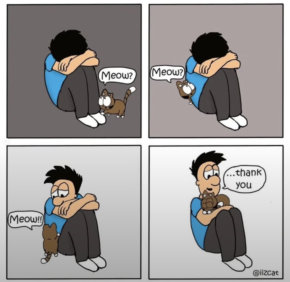 place where car shouldnt be (@carshouldnt) on Twitter photo 