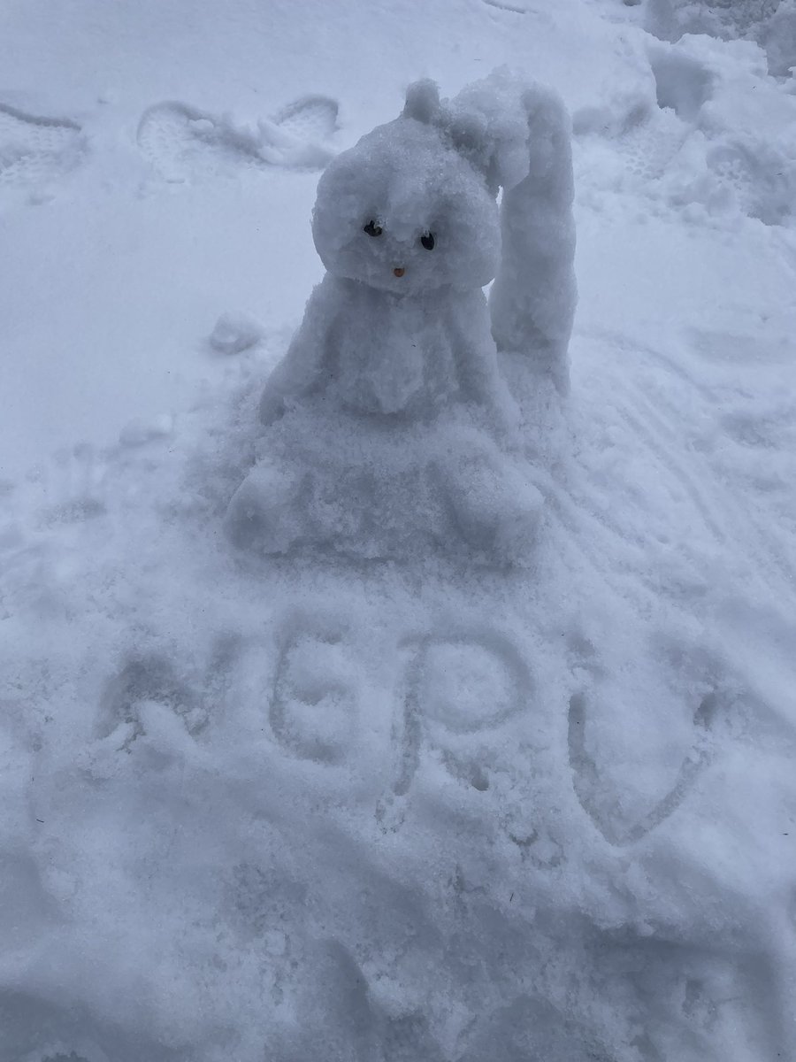 Eilie_20 tweet media