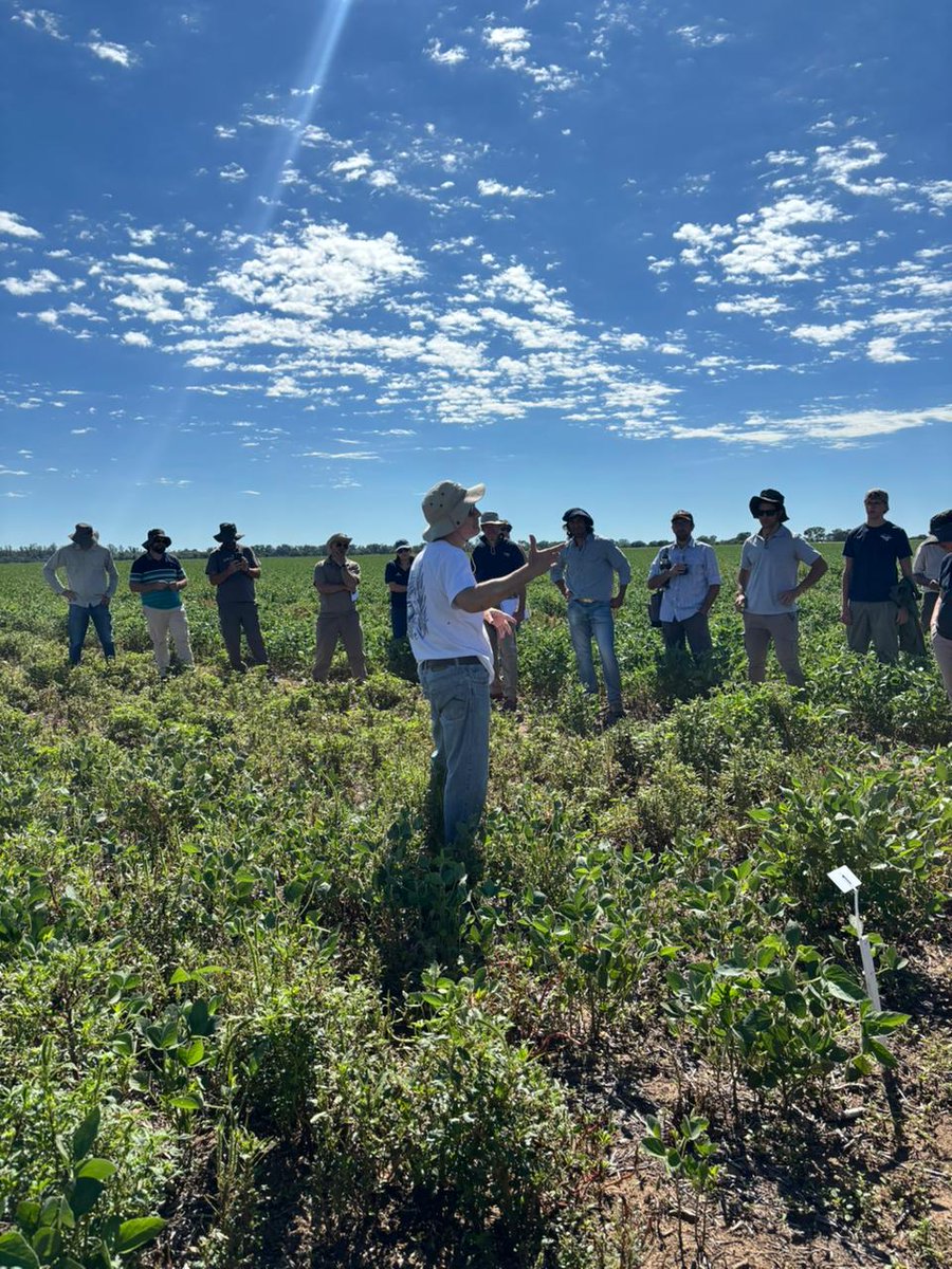 Corteva Argentina tweet media