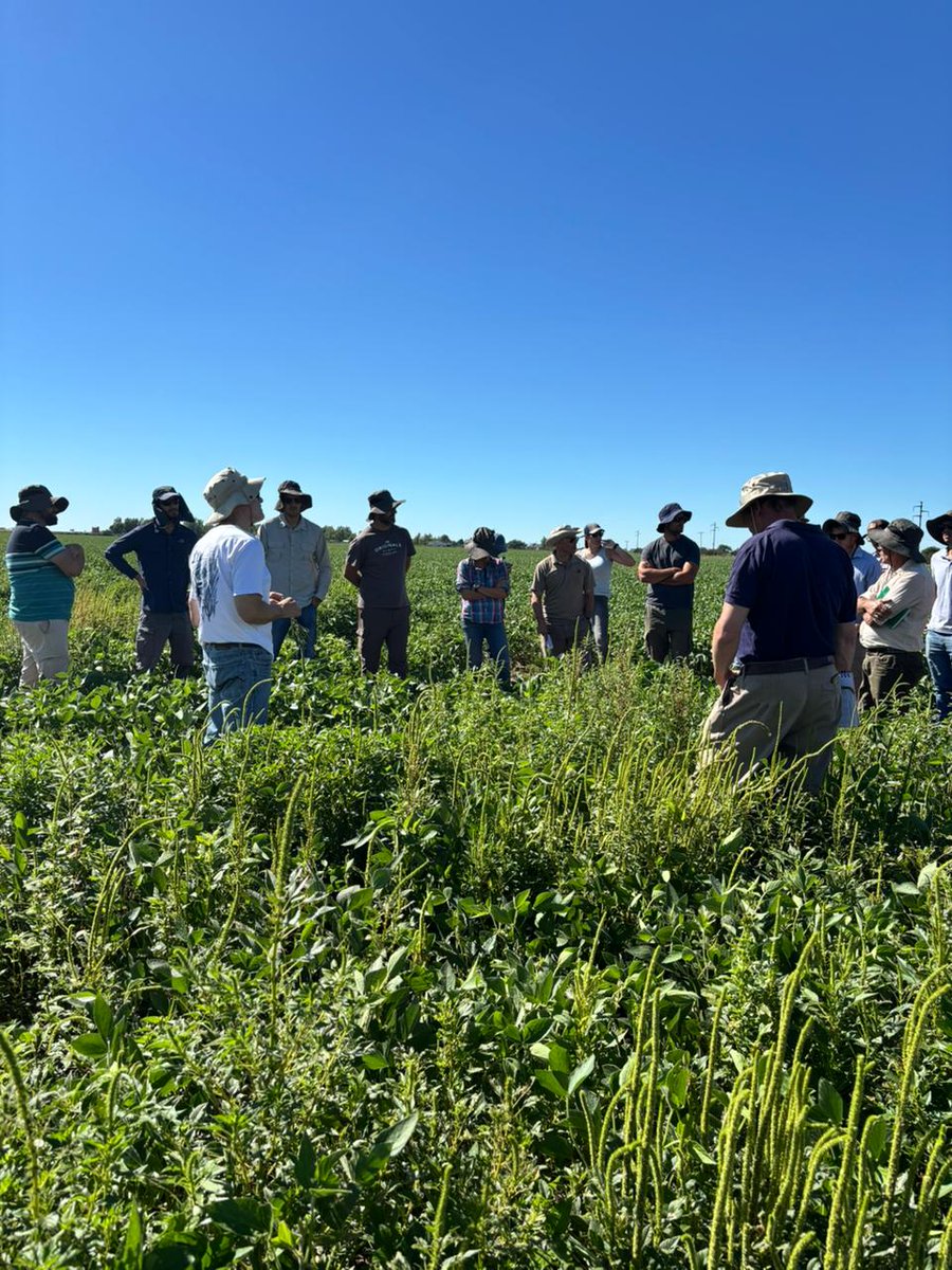 Corteva Argentina tweet media