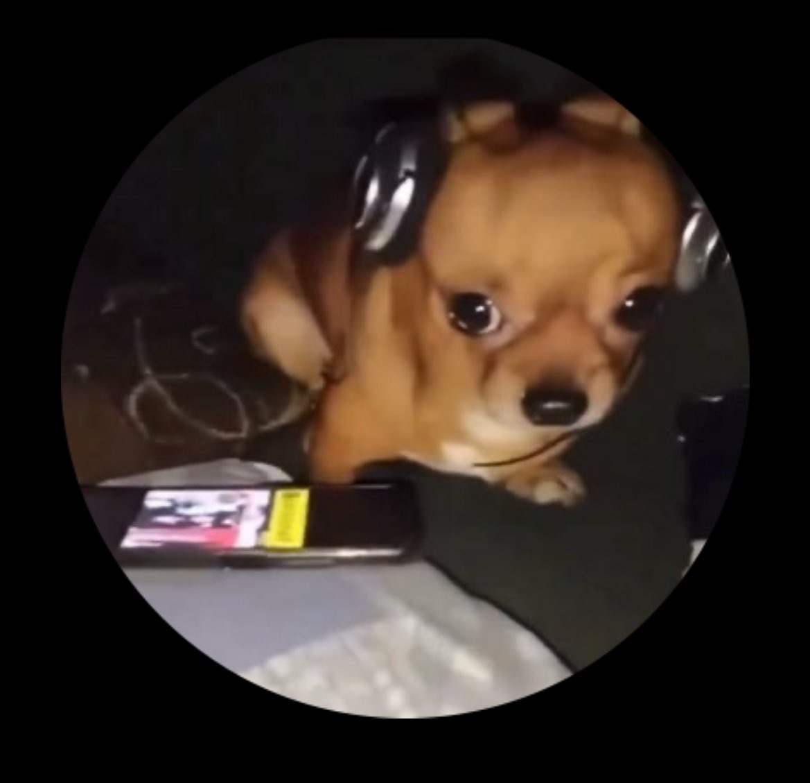 Caio Caesar tweet media