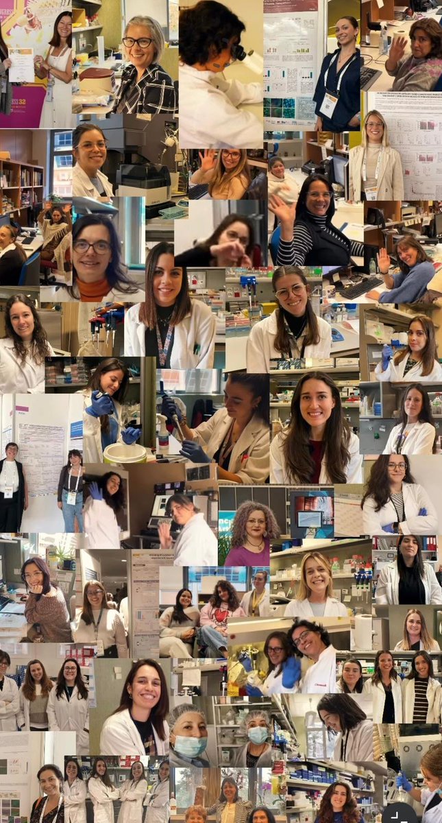 CIEMAT Innovación Biomédica tweet media