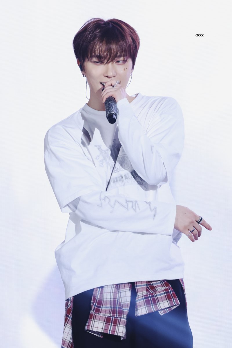 🤍 
#디노 #DINO
#Bang_터져버리는_디노의_생일폭죽
#BrightStar_DINOday