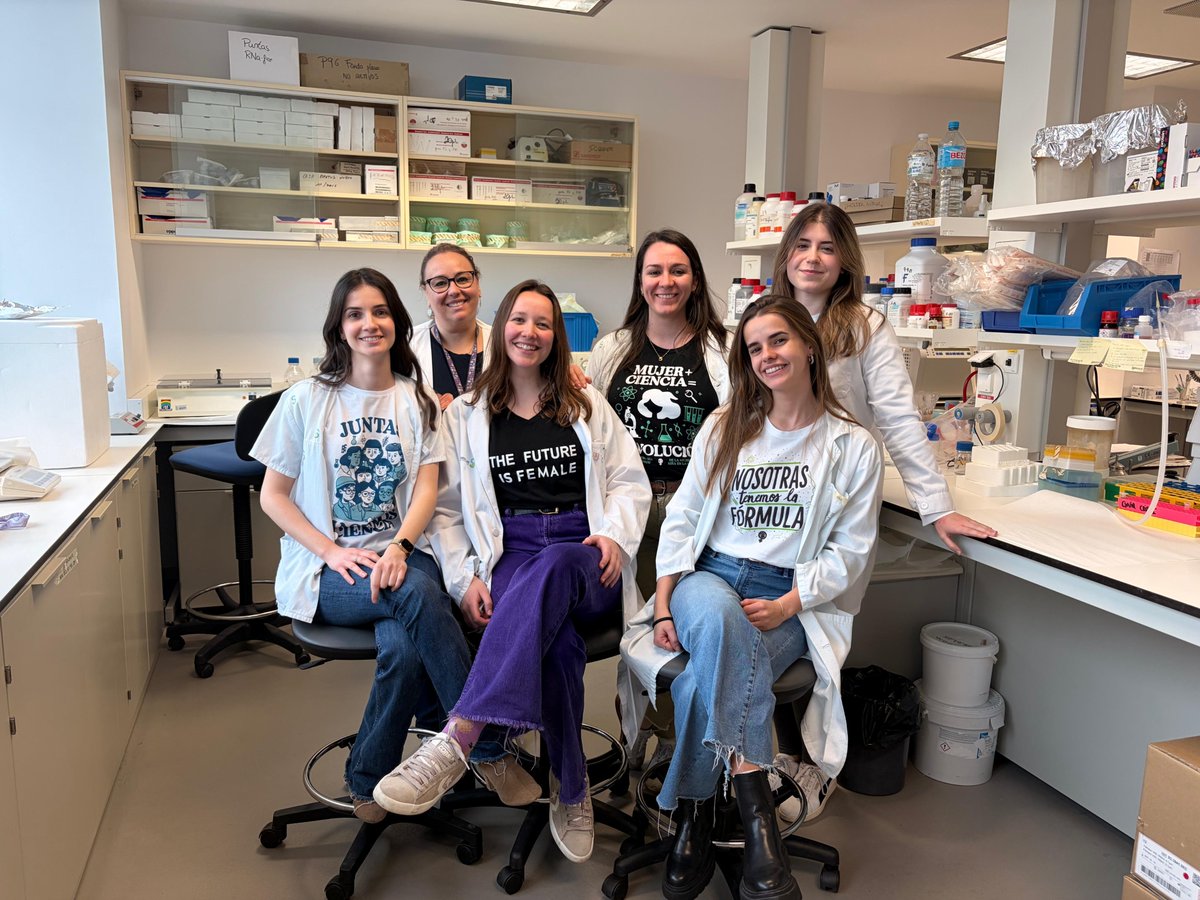 Diego Clemente's lab tweet media