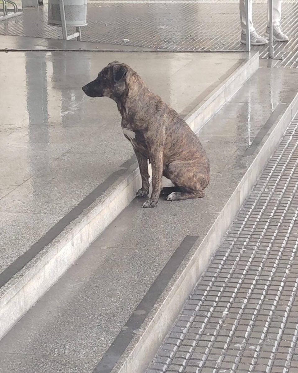 LᎾℬᎯ tweet media