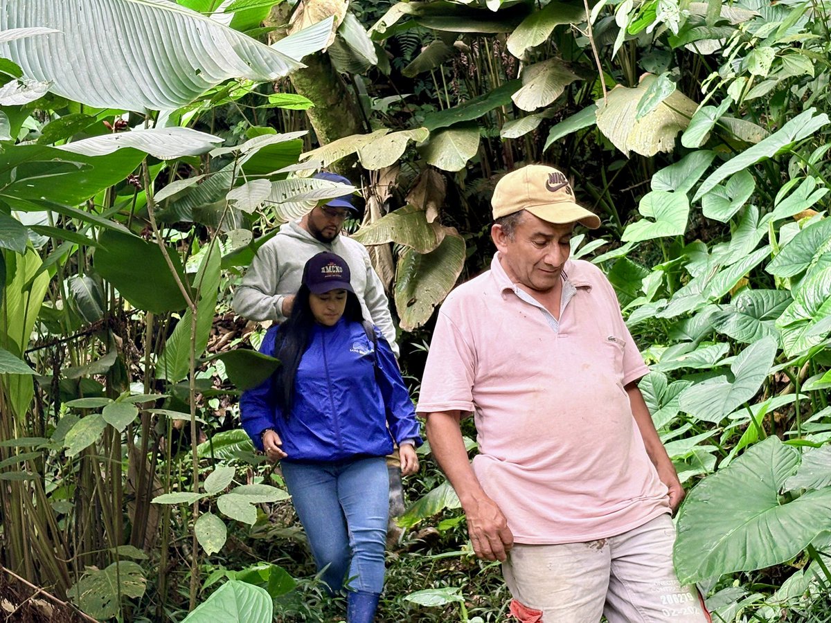 CORPOGUAVIO tweet media