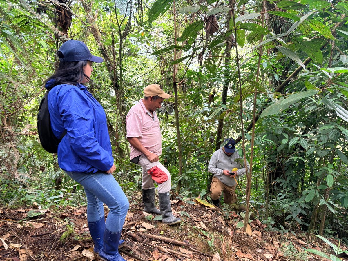 CORPOGUAVIO tweet media
