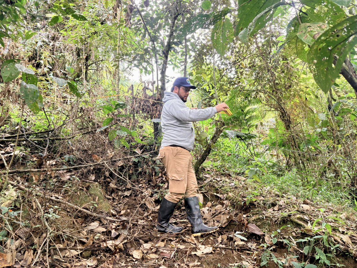 CORPOGUAVIO tweet media