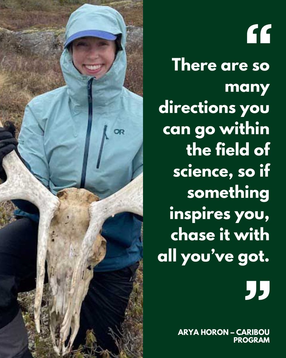 fRI Research tweet media