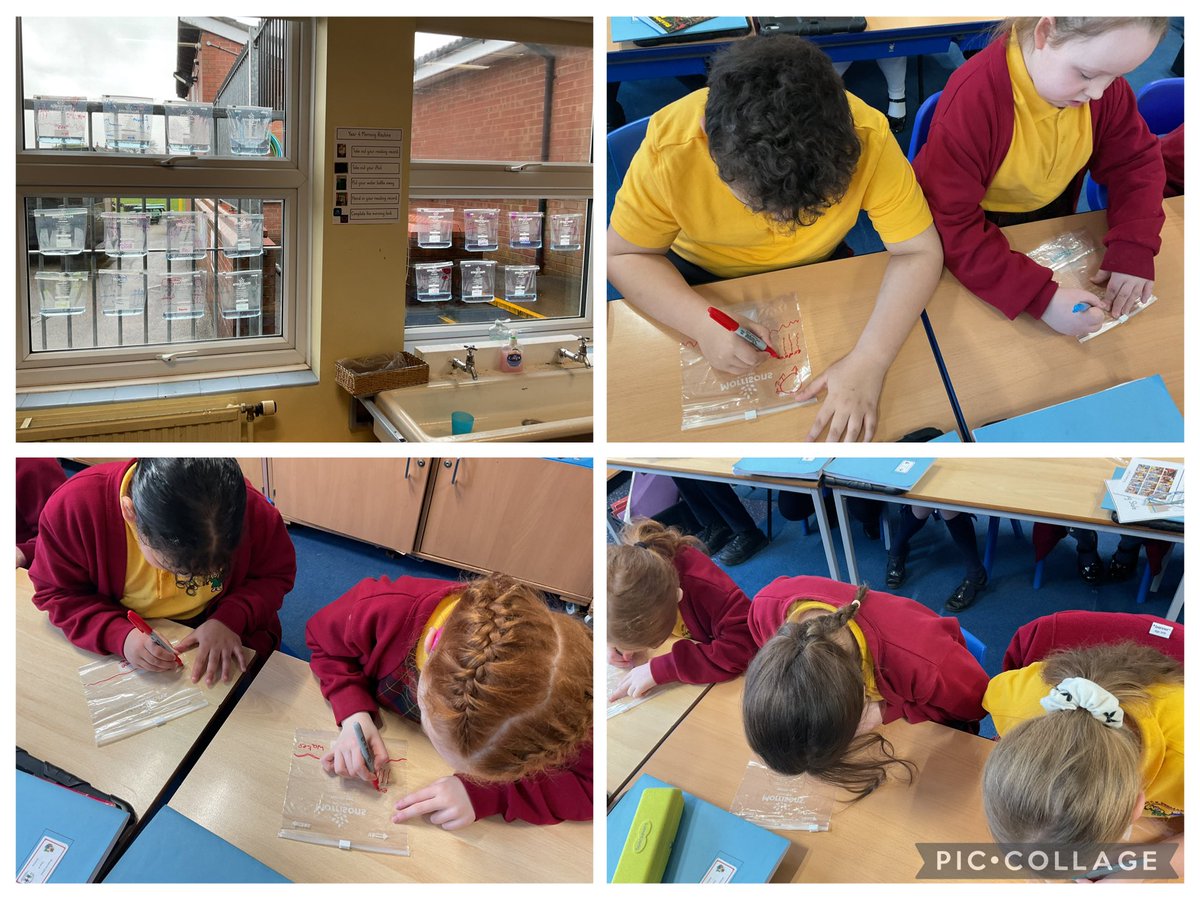 Chorley St James Year 4 tweet media