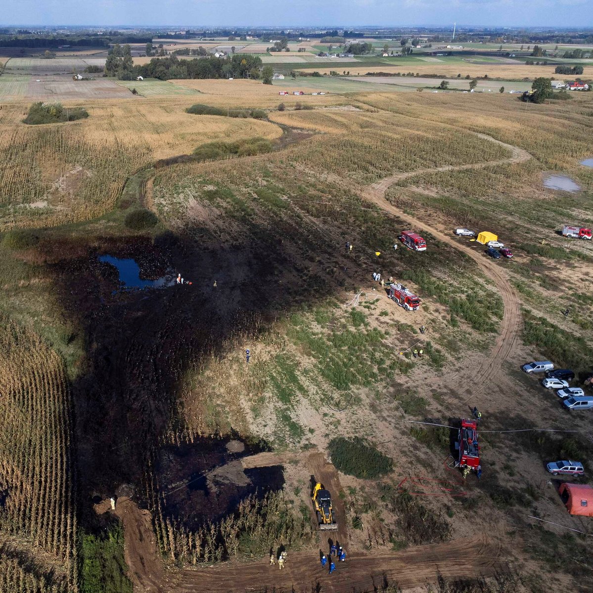 Oil Leaks tweet media