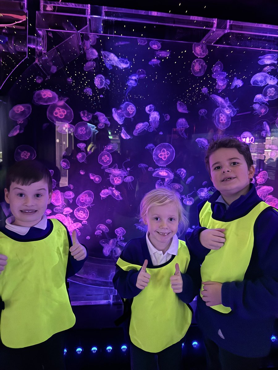 Patrington Academy tweet media