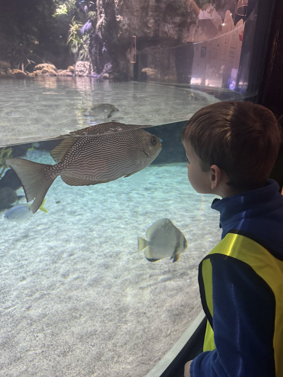 Patrington Academy tweet media