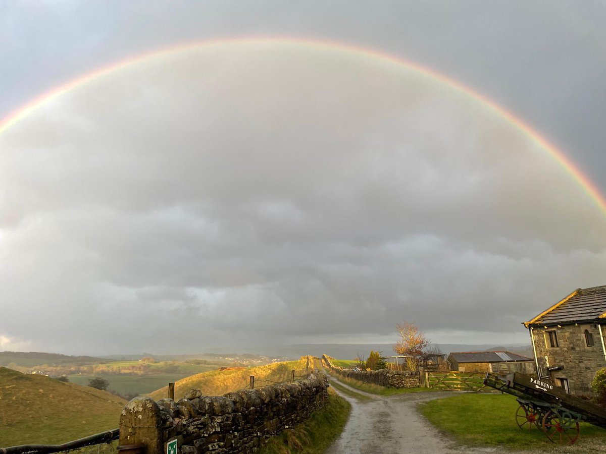 Check out Lime Tree House 🌱's video! #TikTok vm.tiktok.com/ZNRyXbJKe/