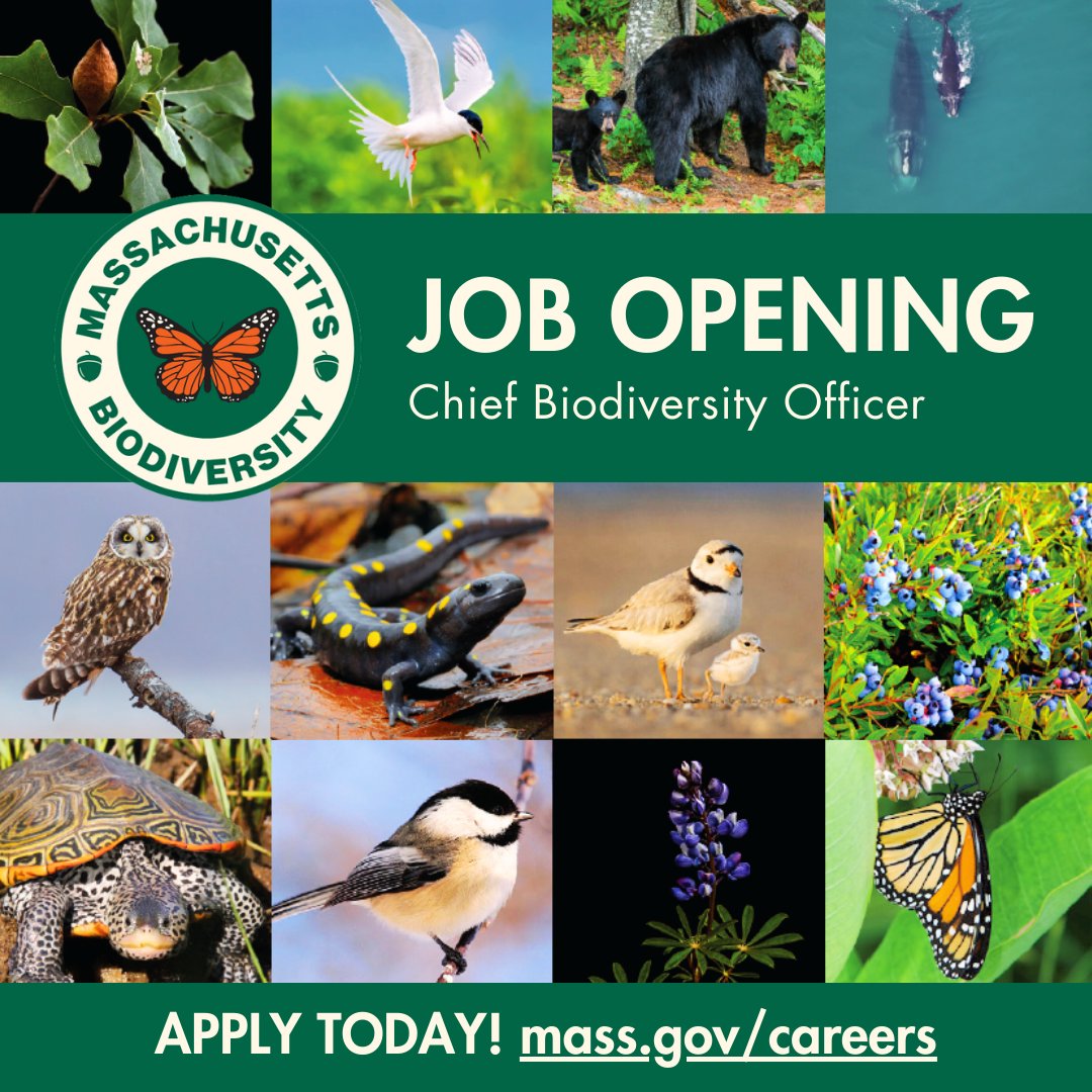 Massachusetts Dept. of Fish & Game tweet media