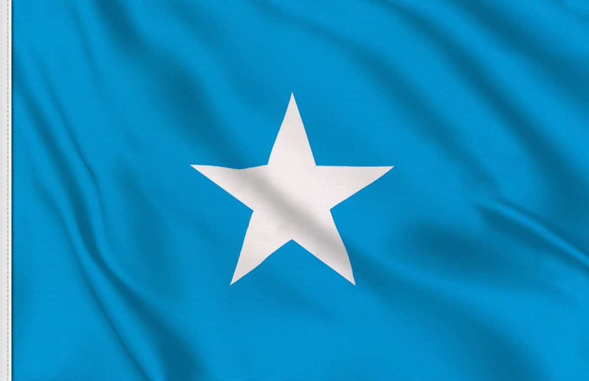 Hon Sadik Warfa tweet media