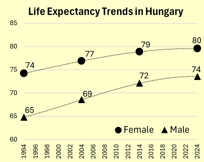 Csaba G. Tóth tweet media