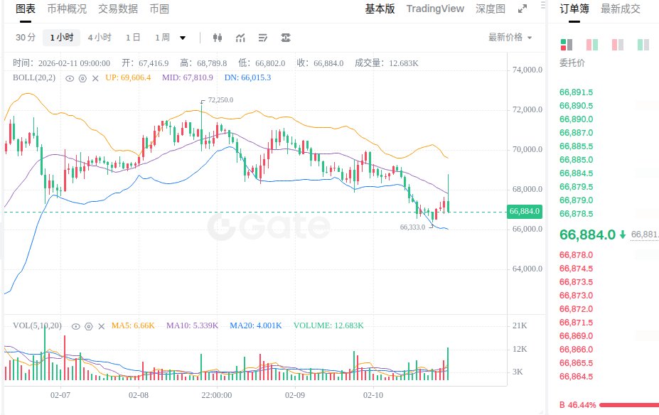 这次 没追多，结构 未变