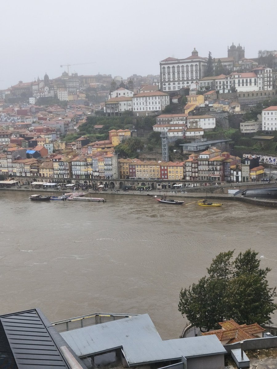 SkYvLoP Evergreen tweet media