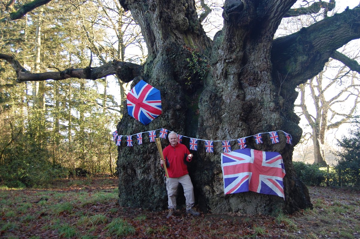 thetreehunter Rob McBride tweet media