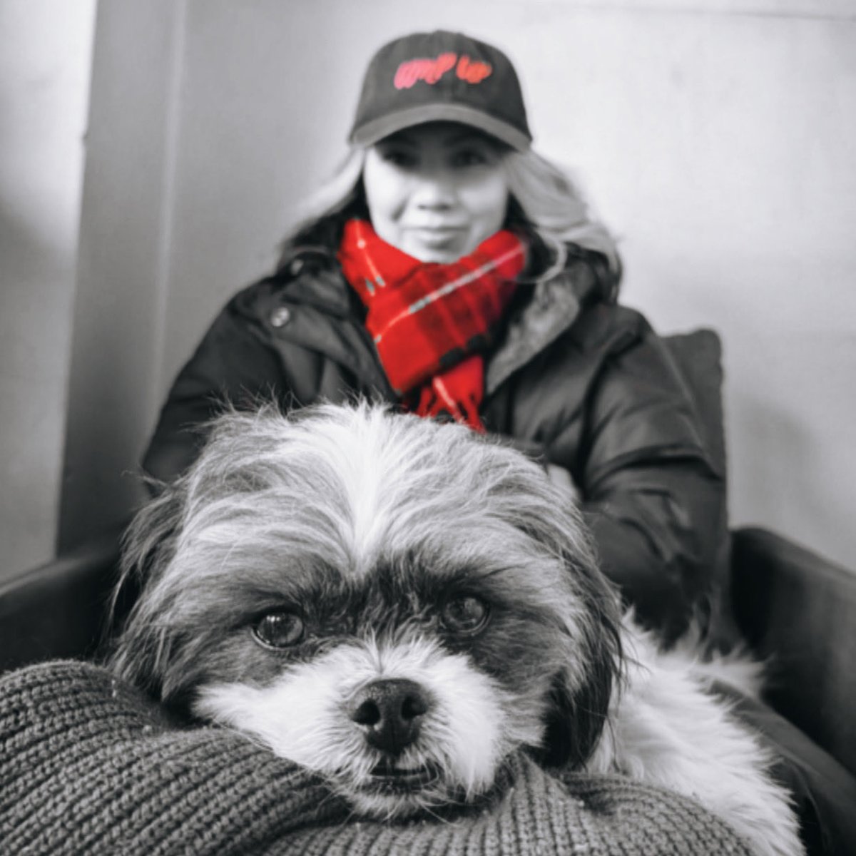 今年からマイク🐶のアカウントでインフルエンサー風な🤣動画を続々アップ中。
instagram.com/microphone.jp

主にペット可カフェやレストランなどの情報を発信。AMP
