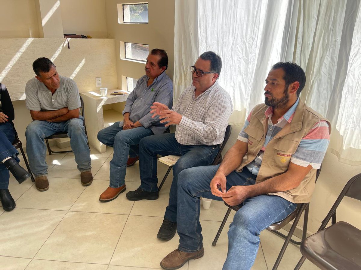 agriculturaEmex's tweet photo. Se participó en la reunion mensual de la Junta Local de Sanidad Vegetal del municipio de Temascaltepec, Edo. de Méx, donde se presentaron avances de las diferentes campañas fitosanitarias. además se dieron a conocer las acciones preventivas, de control y vigilancia, ante el GBG. https://t.co/qpMbxkGSV3
