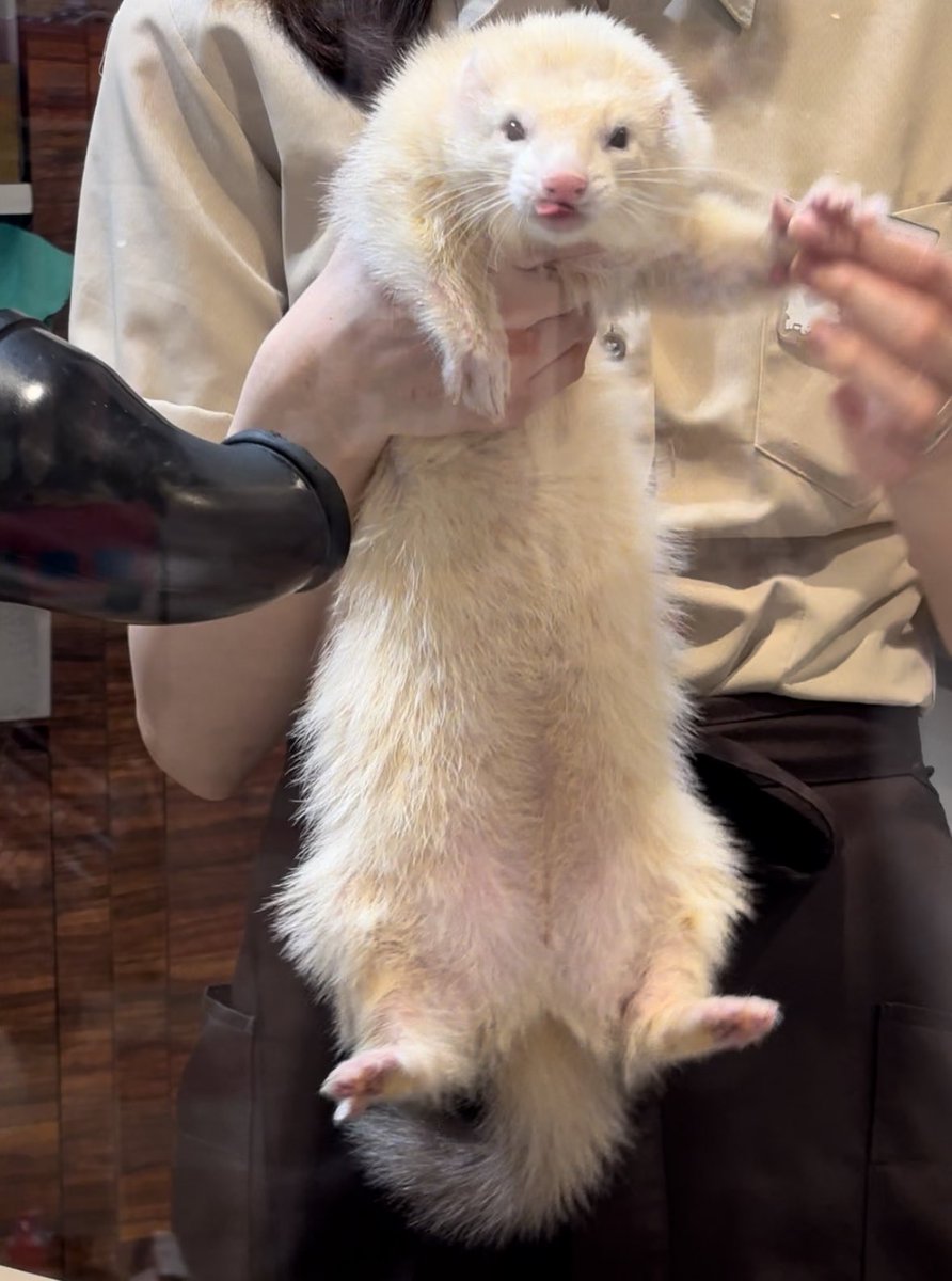 な、なんか、みんなデカイな・・？！