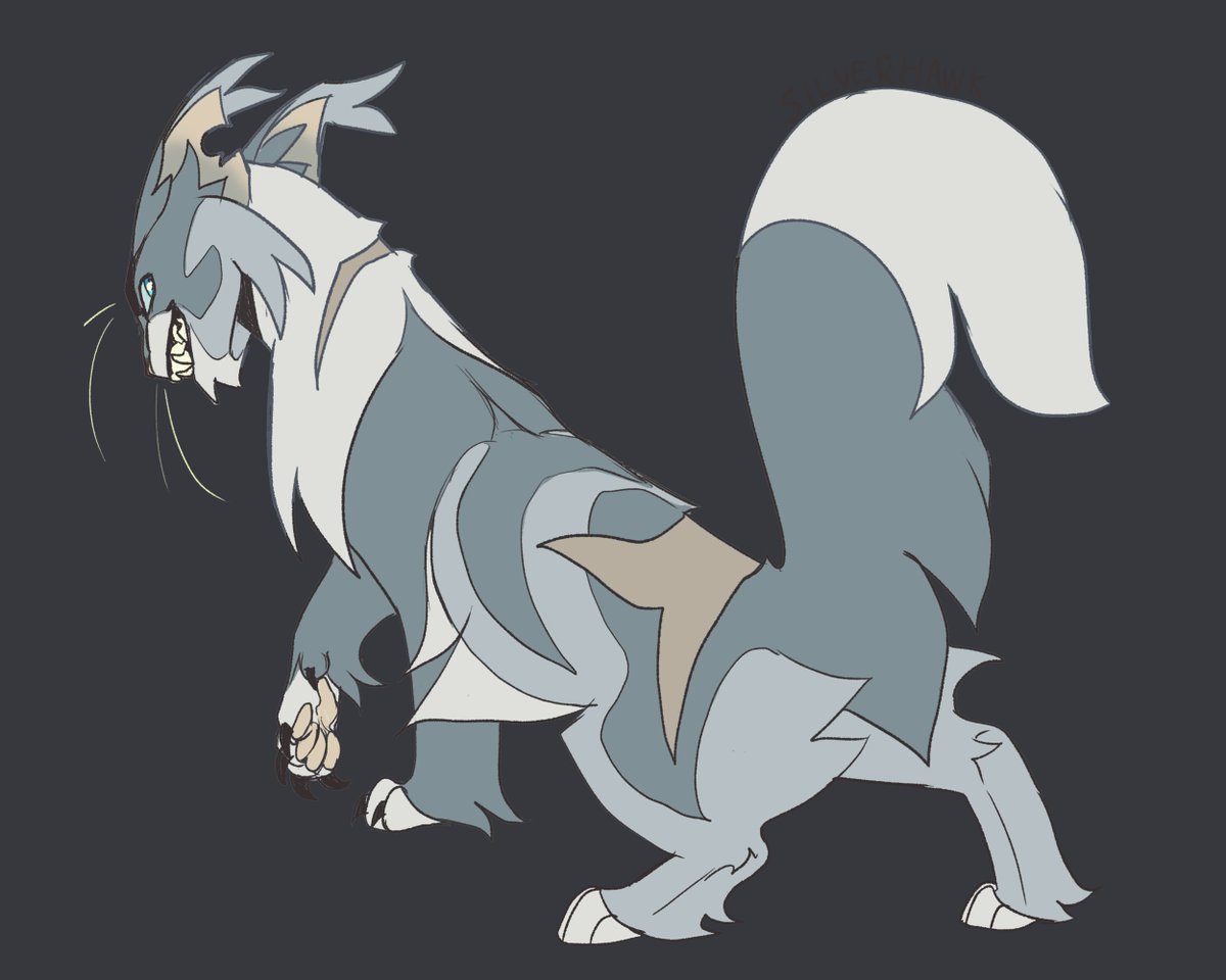 wai_ako's tweet photo. Silverhawk design from last year !!! Bro has the sickest name ever !! I really wish we had more lore for this lad !!  
#warriorcats #warriocatsdesign #silverhawk https://t.co/2ogYNKR9u1