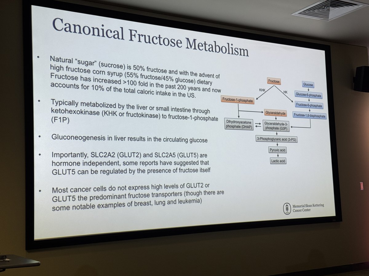 Moffitt Cancer Center tweet media