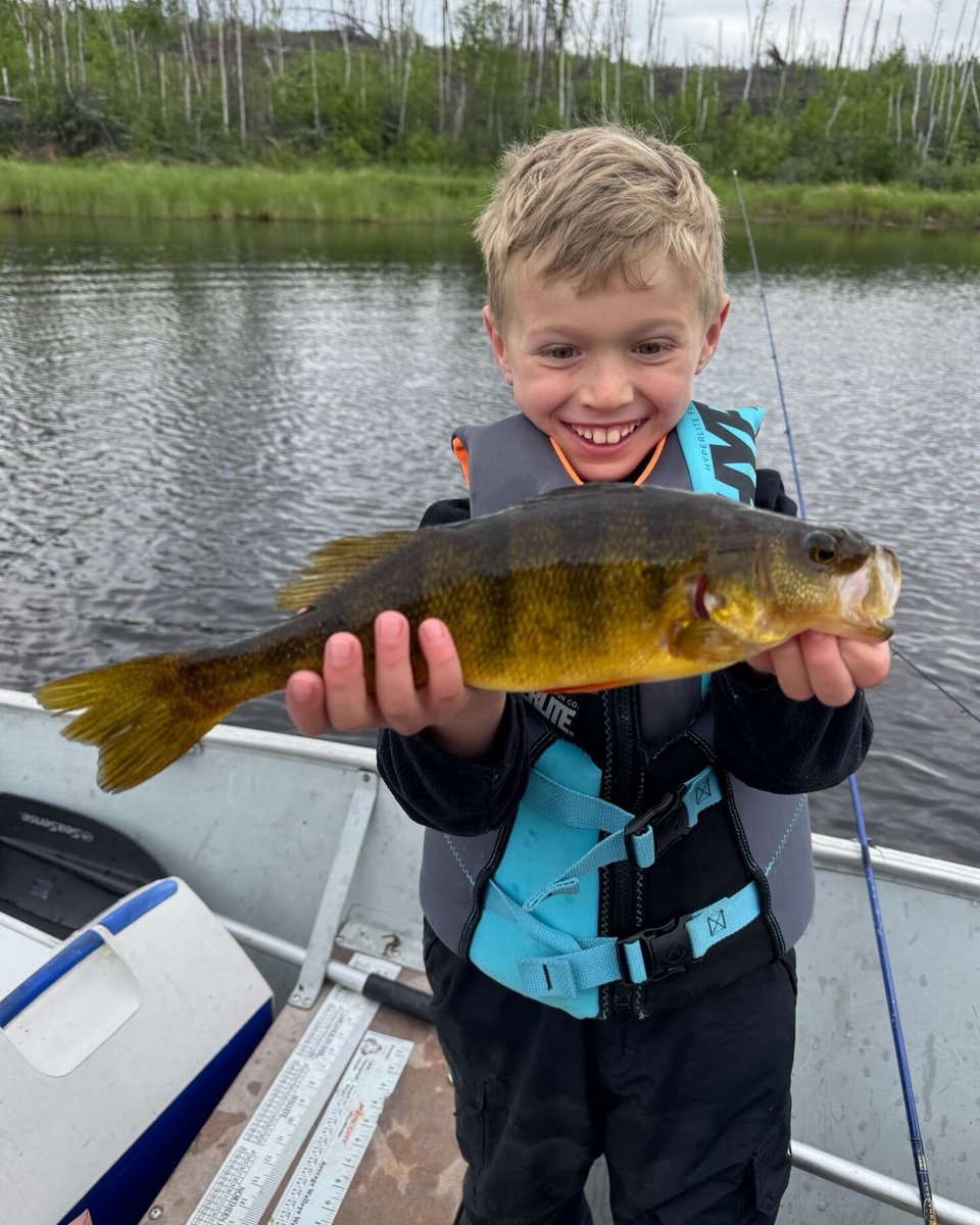 FishDogskin's tweet photo. This shirt can't be bought. Only earned. 💪

The Dogskin Master Angler shirt is handed out to guests who land a Manitoba Monster — and when a bunch of the family walk away with one, that's a week nobody's forgetting.

#DogskinLodge #MasterAngler #FamilyFishing https://t.co/htla6bt6ee