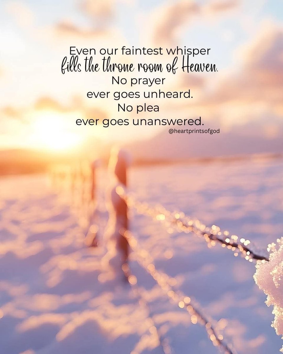 Michelle tweet media