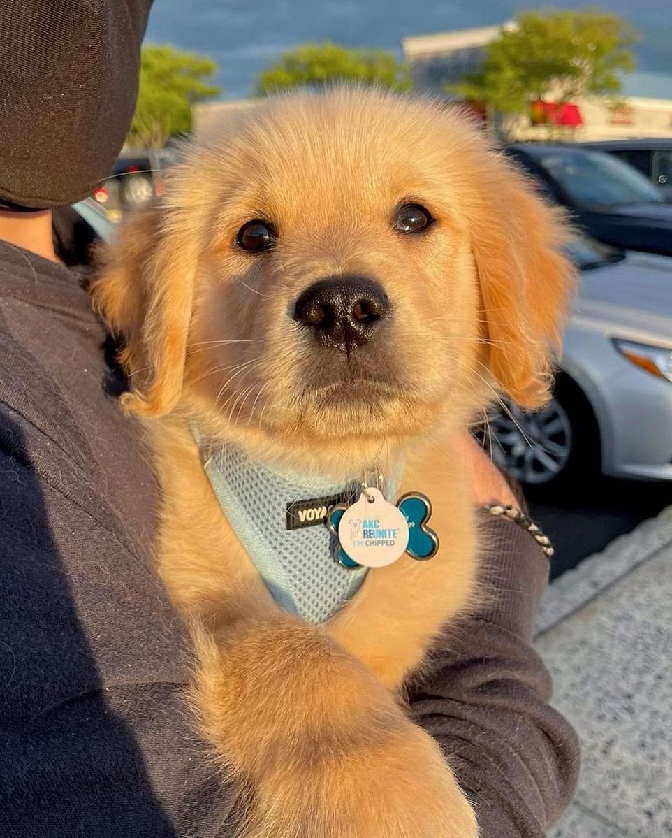 twaniimals's tweet image. 