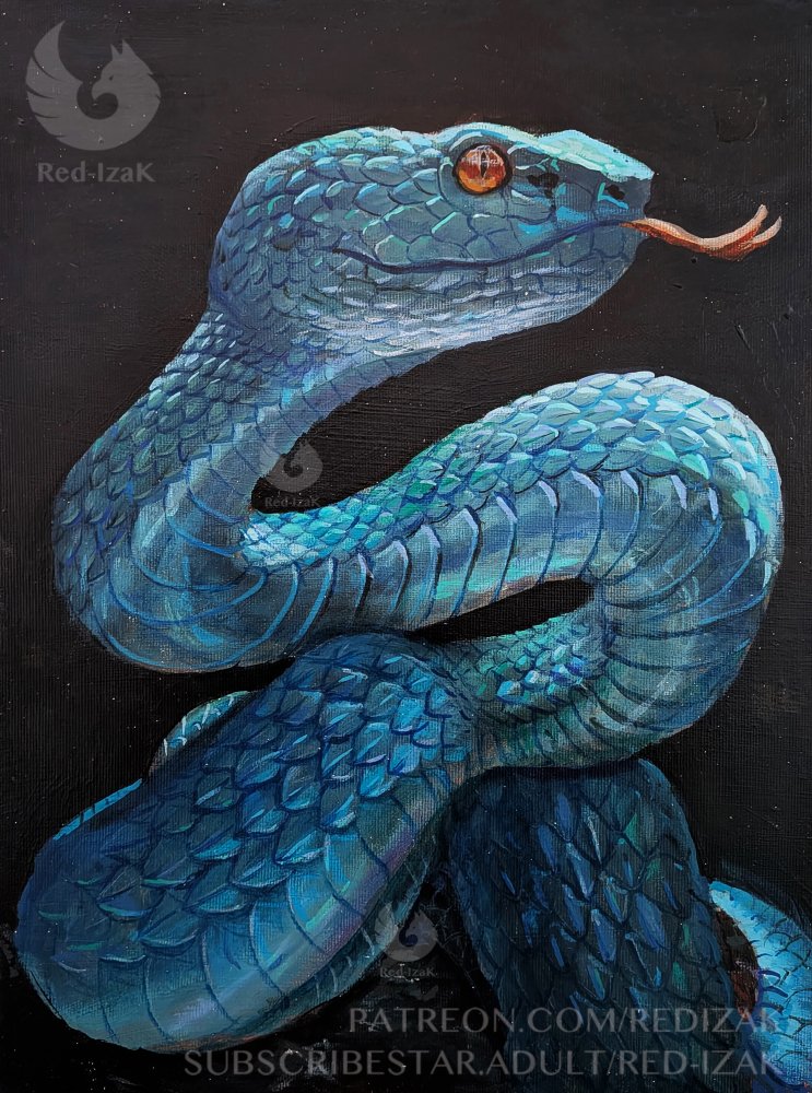 RedIzaK's tweet photo. Acrylic on panel; 30x40 cm https://t.co/5cEmR0zVYg